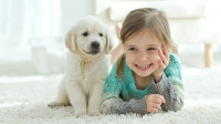 Pet Stain & Odor Removal