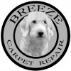 Breeze Carpet Repair