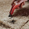 Carpet Repair Of Arizona