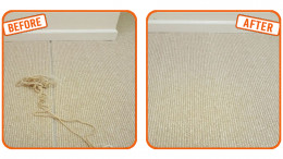Best carpet cleaning service